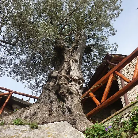 Rocca Del Vento Bed & Breakfast San Pantaleone