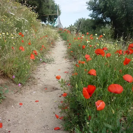 Bed & Breakfast Rocca Del Vento