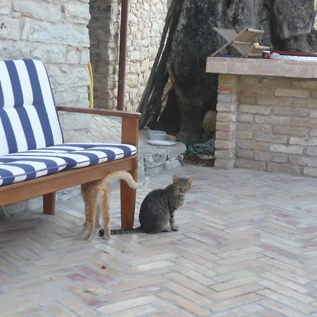 Bed & Breakfast Rocca Del Vento San Pantaleone