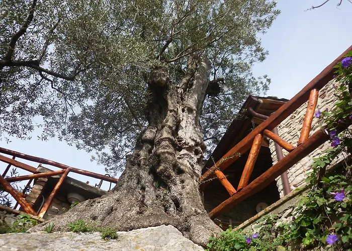 Rocca Del Vento Oda ve Kahvaltı San Pantaleone