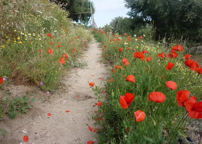 住宿加早餐酒店 Rocca Del Vento
