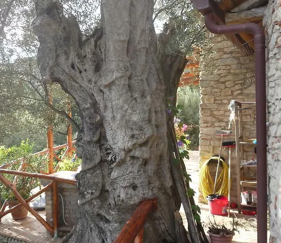 Rocca Del Vento 3* San Pantaleone